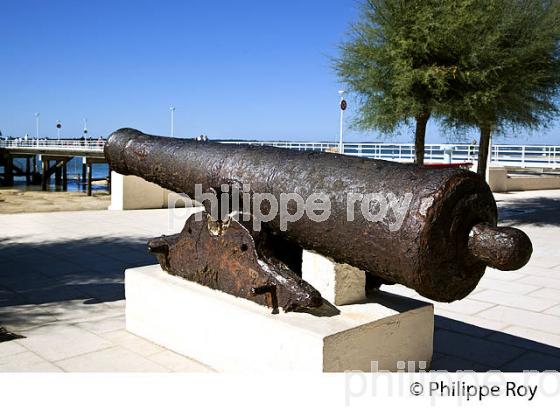 LE CANON  DU MOULLEAU , ARCACHON, COTE ATLANTIQUE, GIRONDE, AQUITAINE. (33F27826.jpg)