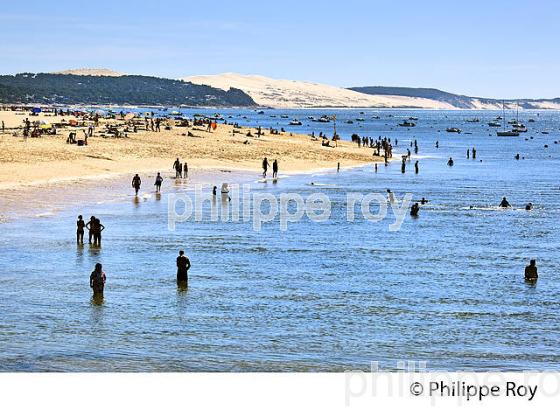 PLAGE DU  DU MOULLEAU , ARCACHON, COTE ATLANTIQUE, GIRONDE, AQUITAINE. (33F27828.jpg)