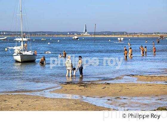PLAGE DU  DU MOULLEAU , ARCACHON, COTE ATLANTIQUE, GIRONDE, AQUITAINE. (33F27829.jpg)