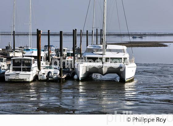 QUARTIER DES PECHEURS, PORT D' ARCACHON, COTE ATLANTIQUE, GIRONDE, AQUITAINE. (33F27923.jpg)