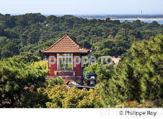 VILLE D' HIVER, ARCACHON, COTE ATLANTIQUE, GIRONDE, AQUITAINE. (33F28038.jpg)