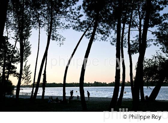 LA PLAGE DU LAC DE BORDEAUX , VILLE DE  BRUGES, BORDEAUX METROPOLE, GIRONDE. (33F28216.jpg)