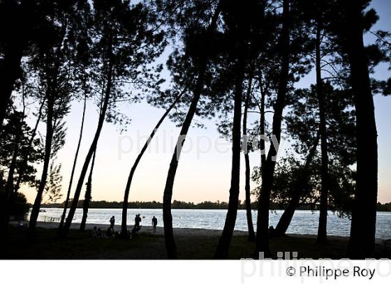 LA PLAGE DU LAC DE BORDEAUX , VILLE DE  BRUGES, BORDEAUX METROPOLE, GIRONDE. (33F28221.jpg)
