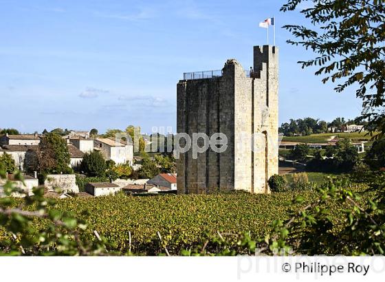 LA TOUR DU ROI, VILLAGE DE SAINT-EMILION, GIRONDE. (33F28419.jpg)