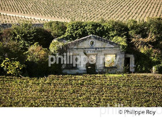 VIGNOBLE ET LE CHATEAU  LE COUVENT , VILLAGE DE SAINT-EMILION, GIRONDE. (33F28506.jpg)