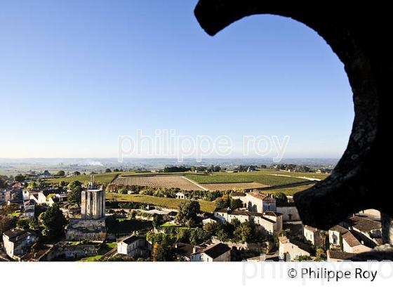 LE  VILLAGE DE SAINT-EMILION, VU DEPUIS LE CLOCHER,  GIRONDE. (33F28516.jpg)