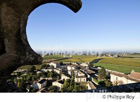 LE  VILLAGE DE SAINT-EMILION, VU DEPUIS LE CLOCHER,  GIRONDE. (33F28517.jpg)