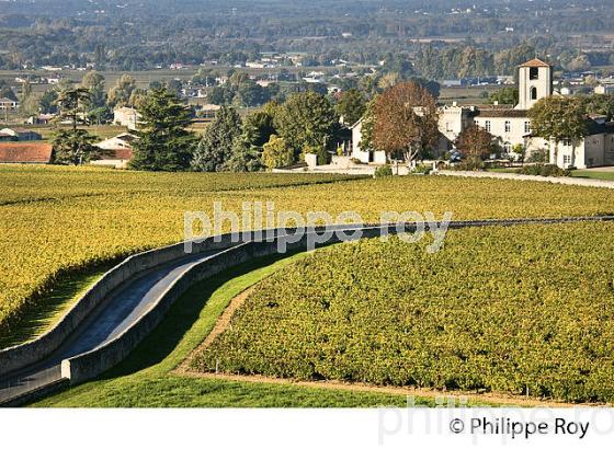 ROUTE DANS LE VIGNOBLE, VILLAGE DE SAINT-EMILION, VU DEPUIS LE CLOCHER,  GIRONDE. (33F28524.jpg)