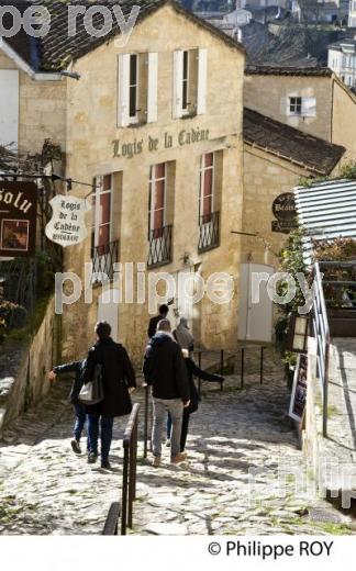 RUE DU TERTRE DE LA TENTE, CITE DE SAINT EMILION, GIRONDE. (33F28923.jpg)