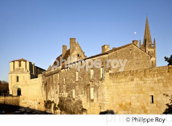 L' EGLISE   COLLEGIALE, LE CLOCHER DE L' EGLISE MONOLITHE ET  LES REMPARTS DE LA CITE  DE SAINT-EMILION, GIRONDE. (33F29104.jpg)