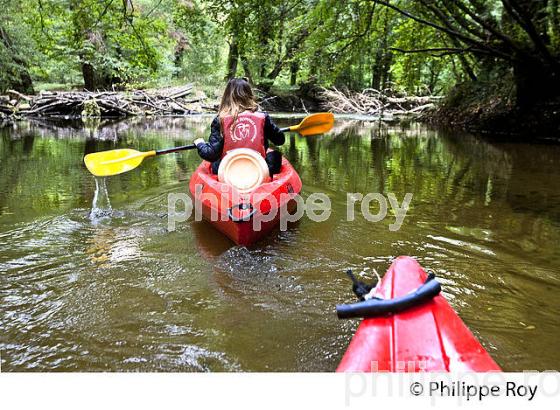CANOE SUR LE CIRON, OENOTOURISME EN SAUTERNAIS , GIRONDE. (33F29225.jpg)