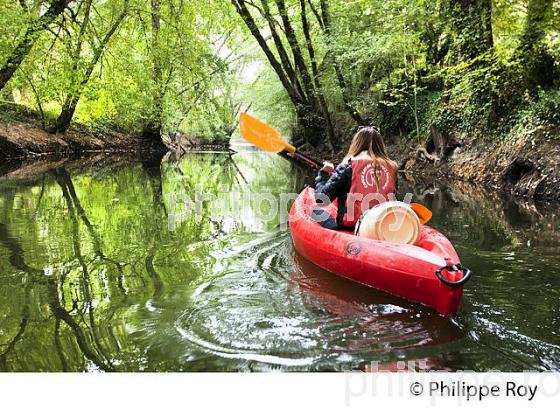 CANOE SUR LE CIRON, OENOTOURISME EN SAUTERNAIS , GIRONDE. (33F29233.jpg)