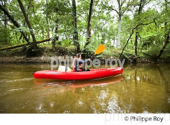 CANOE SUR LE CIRON, OENOTOURISME EN SAUTERNAIS , GIRONDE. (33F29235.jpg)