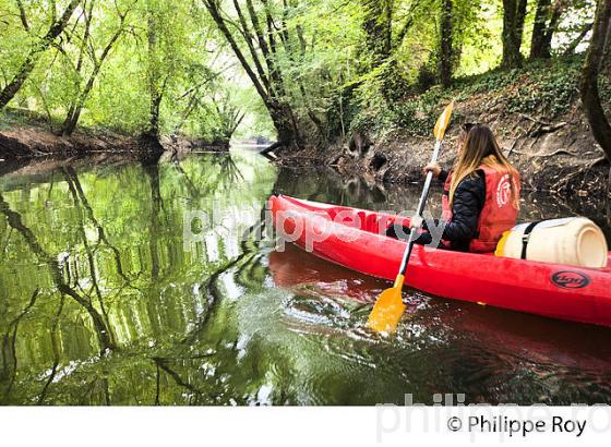 CANOE SUR LE CIRON, OENOTOURISME EN SAUTERNAIS , GIRONDE. (33F29237.jpg)