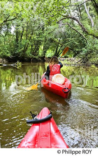 CANOE SUR LE CIRON, OENOTOURISME EN SAUTERNAIS , GIRONDE. (33F29240.jpg)