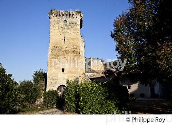 CHATEAU MEDIEVAL DE ROQUETAILLADE, MAZERES , SUD  GIRONDE. (33F29319.jpg)