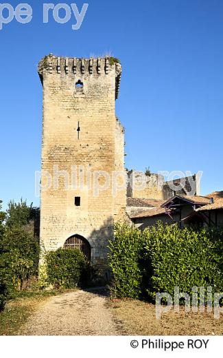 CHATEAU MEDIEVAL DE ROQUETAILLADE, MAZERES , SUD  GIRONDE. (33F29320.jpg)