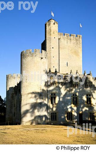 CHATEAU MEDIEVAL DE ROQUETAILLADE, MAZERES , SUD  GIRONDE. (33F29321.jpg)