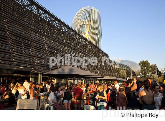 TERRASSE DE CAFE, LES  HALLES  DE BACALAN  ET CITE DU VIN,  QUARTIER DE BACALAN , BORDEAUX . (33F29725.jpg)