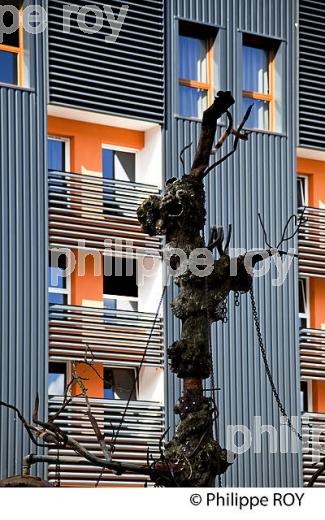 LES VIVRES DE L' ART,  RESIDENCES D' ARTISTES,  QUARTIER DE BACALAN , BORDEAUX . (33F29835.jpg)