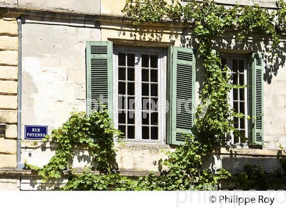 MAISON BOURGEOISE, QUARTIER DES CHARTRONS,  BORDEAUX. (33F29929.jpg)