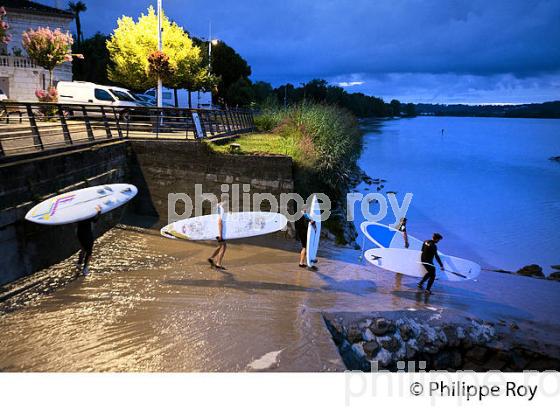 SURF SUR LE MASCARET DE LA  RIVIERE DORDOGNE, A SAINT-PARDON, GIRONDE. (33F30322.jpg)