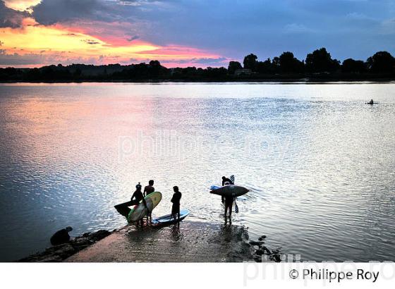 SURF SUR LE MASCARET DE LA  RIVIERE DORDOGNE, A SAINT-PARDON, GIRONDE. (33F30325.jpg)