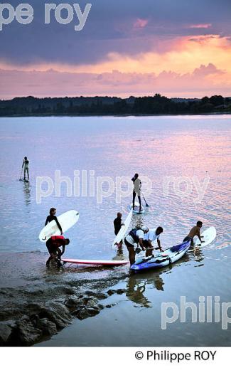 SURF SUR LE MASCARET DE LA  RIVIERE DORDOGNE, A SAINT-PARDON, GIRONDE. (33F30330.jpg)