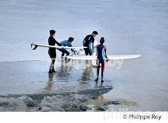 SURF SUR LE MASCARET DE LA  RIVIERE DORDOGNE, A SAINT-PARDON, GIRONDE. (33F30332.jpg)