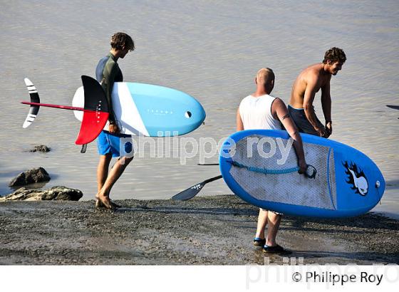 SURF SUR LE MASCARET DE LA  RIVIERE DORDOGNE, A SAINT-PARDON, GIRONDE. (33F30335.jpg)