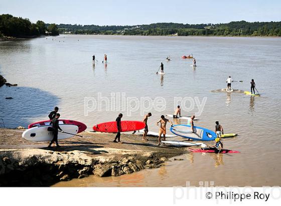 SURF SUR LE MASCARET DE LA  RIVIERE DORDOGNE, A SAINT-PARDON, GIRONDE. (33F30336.jpg)