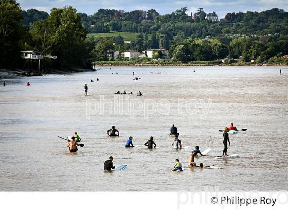 SURF SUR LE MASCARET DE LA  RIVIERE DORDOGNE, A SAINT-PARDON, GIRONDE. (33F30338.jpg)