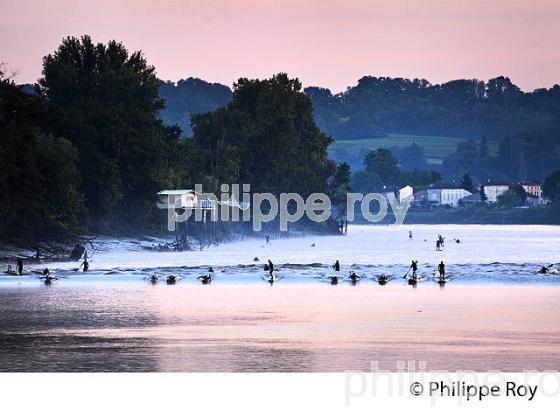 SURF SUR LE MASCARET DE LA  RIVIERE DORDOGNE, A SAINT-PARDON, GIRONDE. (33F30401.jpg)