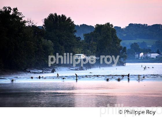 SURF SUR LE MASCARET DE LA  RIVIERE DORDOGNE, A SAINT-PARDON, GIRONDE. (33F30402.jpg)