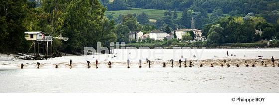 SURF SUR LE MASCARET DE LA  RIVIERE DORDOGNE, A SAINT-PARDON, GIRONDE. (33F30422.jpg)