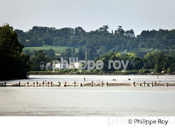 SURF SUR LE MASCARET DE LA  RIVIERE DORDOGNE, A SAINT-PARDON, GIRONDE. (33F30423.jpg)