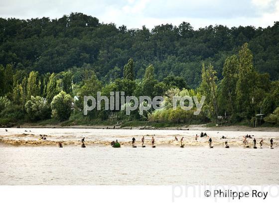 SURF SUR LE MASCARET DE LA  RIVIERE DORDOGNE, A SAINT-PARDON, GIRONDE. (33F30426.jpg)