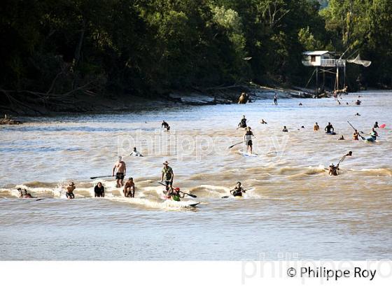 SURF SUR LE MASCARET DE LA  RIVIERE DORDOGNE, A SAINT-PARDON, GIRONDE. (33F30427.jpg)