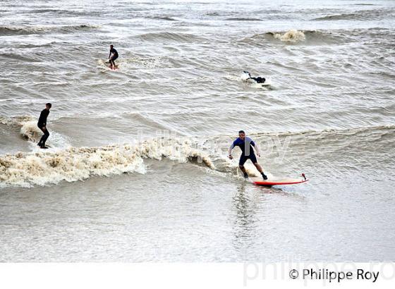 SURF SUR LE MASCARET DE LA  RIVIERE DORDOGNE, A SAINT-PARDON, GIRONDE. (33F30432.jpg)