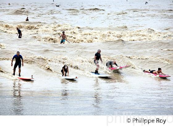 SURF SUR LE MASCARET DE LA  RIVIERE DORDOGNE, A SAINT-PARDON, GIRONDE. (33F30433.jpg)