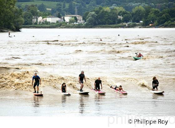 SURF SUR LE MASCARET DE LA  RIVIERE DORDOGNE, A SAINT-PARDON, GIRONDE. (33F30434.jpg)