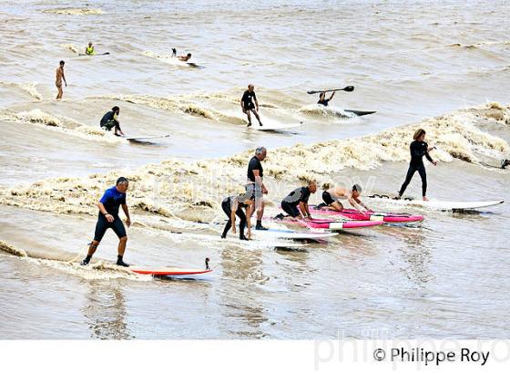 SURF SUR LE MASCARET DE LA  RIVIERE DORDOGNE, A SAINT-PARDON, GIRONDE. (33F30435.jpg)