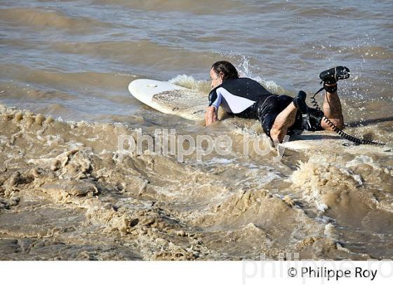 SURF SUR LE MASCARET DE LA  RIVIERE DORDOGNE, A SAINT-PARDON, GIRONDE. (33F30504.jpg)