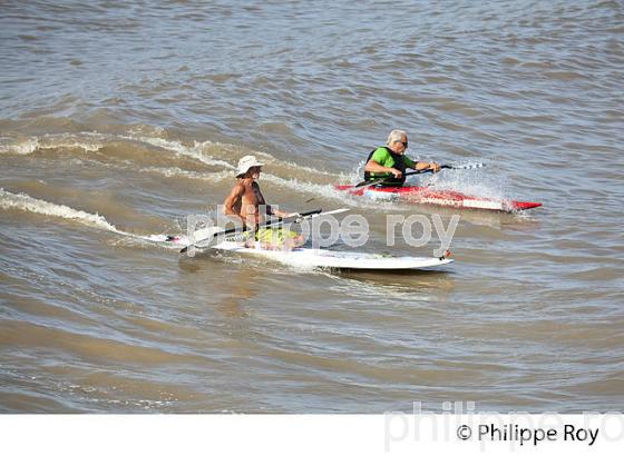 SURF SUR LE MASCARET DE LA  RIVIERE DORDOGNE, A SAINT-PARDON, GIRONDE. (33F30505.jpg)