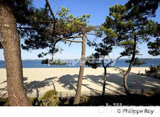 PLAGE PEREIRE, ARCACHON, BASSIN D' ARCACHON, GIRONDE. (33F30521.jpg)