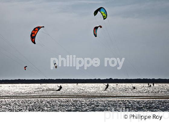 KITESURF, PLAGES DES ARBOUSIERS, ARCACHON, BASSIN D' ARCACHON, GIRONDE. (33F30533.jpg)