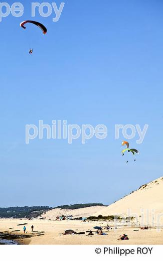PLAGE DU PETIT NICE, PARAPENTE , DUNE DU PILAT, BASSIN D' ARCACHON, GIRONDE. (33F30601.jpg)