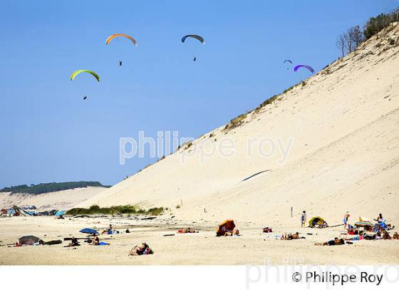PLAGE DU PETIT NICE, PARAPENTE , DUNE DU PILAT, BASSIN D' ARCACHON, GIRONDE. (33F30604.jpg)