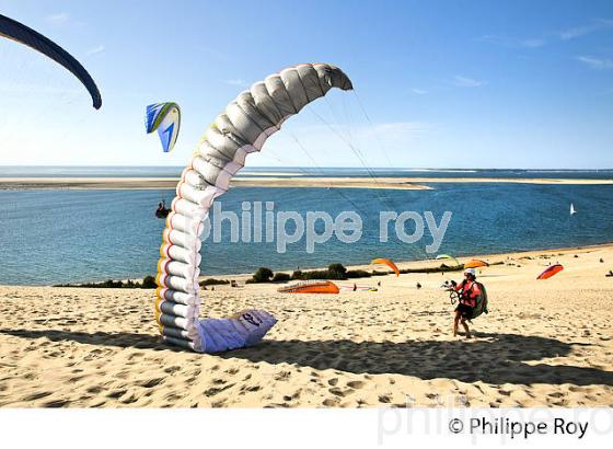 VOL EN PARAPENTE , DEPUIS LA DUNE DU PILAT, BASSIN D' ARCACHON, GIRONDE. (33F30607.jpg)