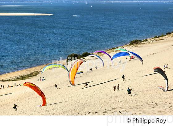 VOL EN PARAPENTE , DEPUIS LA DUNE DU PILAT, BASSIN D' ARCACHON, GIRONDE. (33F30619.jpg)